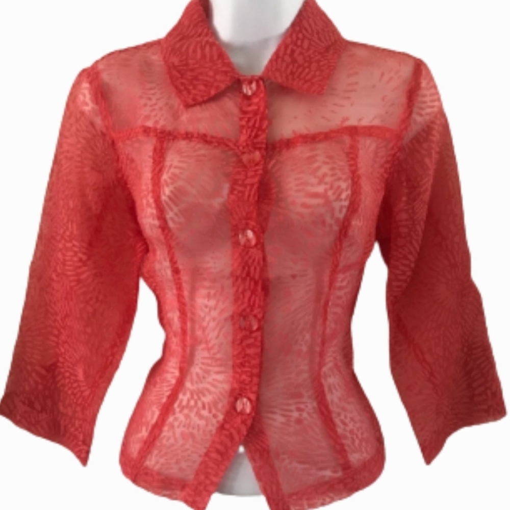 Erin Sheer Button Up Shirt